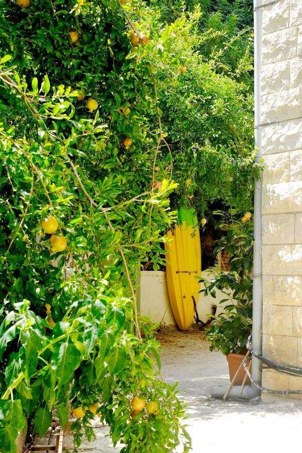 חיפה Cozy Apartment By The Sea מראה חיצוני תמונה