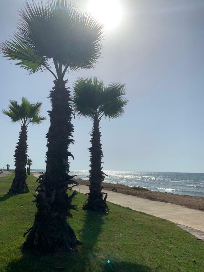 חיפה Cozy Apartment By The Sea מראה חיצוני תמונה